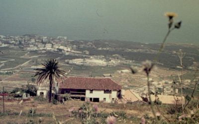 Buenavista