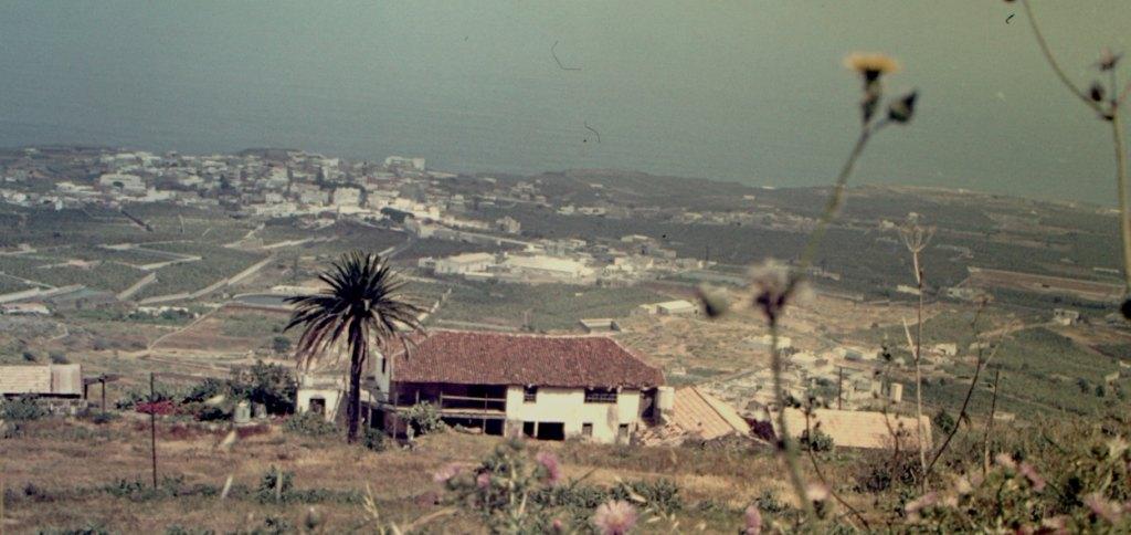 Buenavista