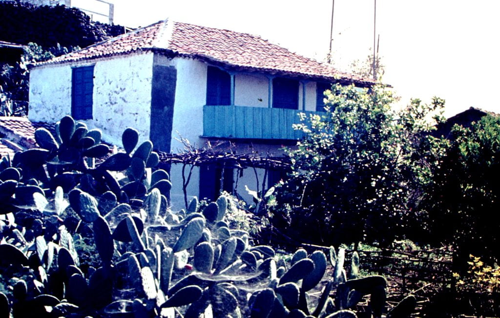 Guía de Isora