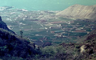 Sur de Tenerife