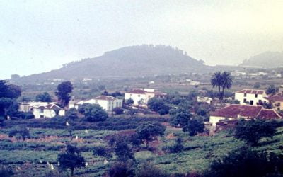 Tacoronte